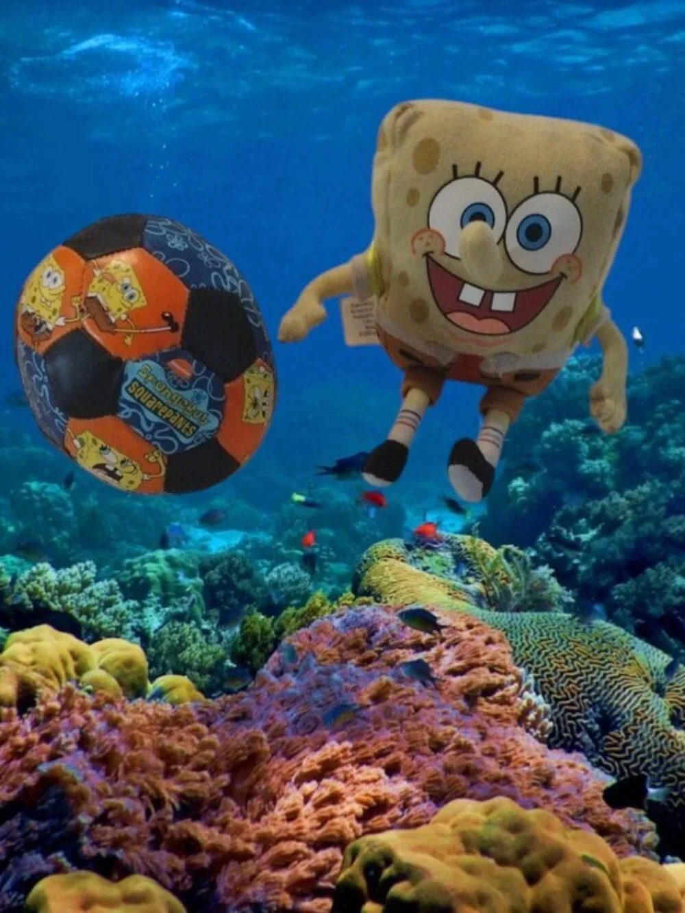 Nickelodeon SpongeBob Plush with Cardboard Book/Backpack and Soccer Ball Bundle